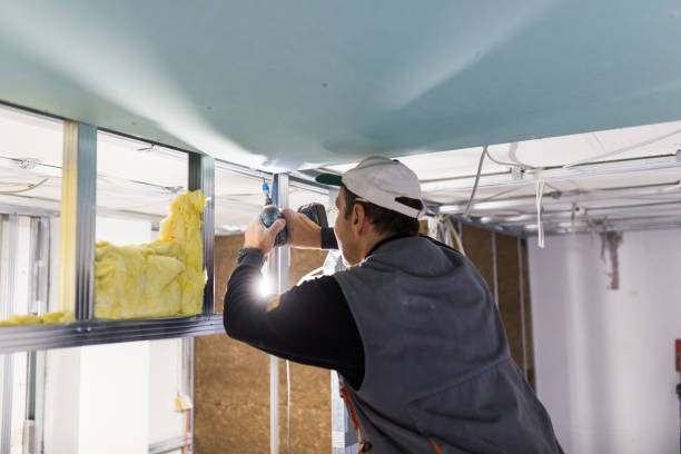Best Cellulose Insulation in Abita Springs, LA