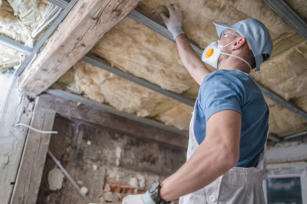 Best Eco-Friendly Insulation in Abita Springs, LA
