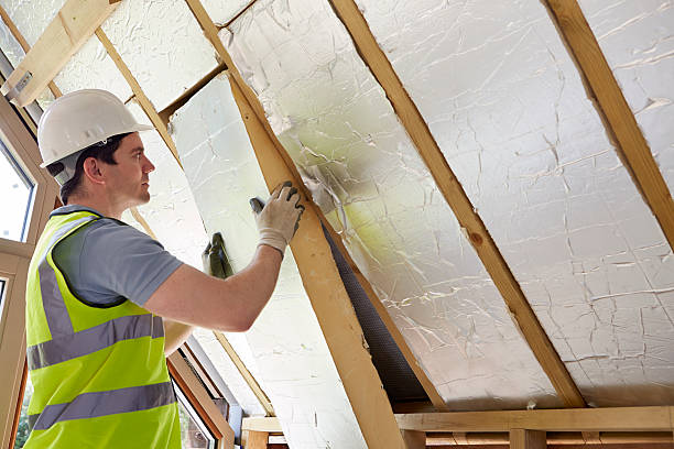 Best Blown-in Insulation in Abita Springs, LA